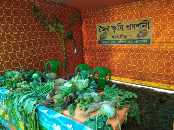 Display of Organic Production